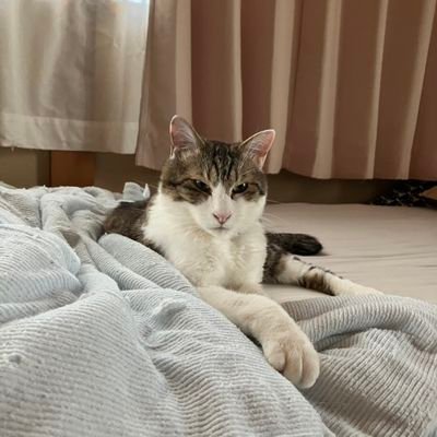 BzDJwzCVeqKCf0h's profile picture. 卓球やってます！筋トレ
群馬県民になります。