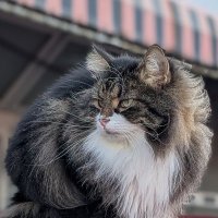 ragutaro0205 (@ragutaro0205) 's Twitter Profile