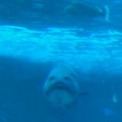 jmpwdtmgwa's profile picture. 税理士法人勤務