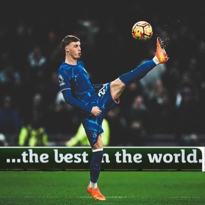 Social commentator ¶ Chelsea die hard ¶ International Marketer¶ Travel Agent