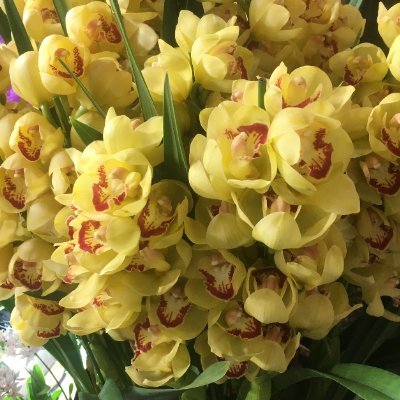 肌にやさしいコスメのことや日々のことなどをつぶやきます。好きなものは、らんの花。水族館のくらげを見ること。Amazonアソシエイト.参加中。よろしくお願いいたします。#コスメ #スキンケア #相互フォロー募集中