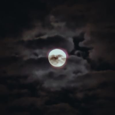 ymi_0412's profile picture. 