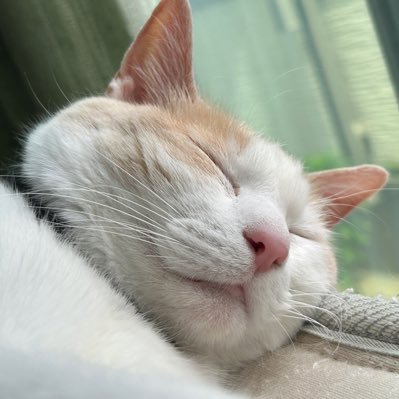 ホイサクさんのプロフィール画像