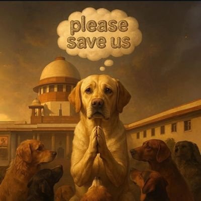 SaveDelhiNcrDogs Profile