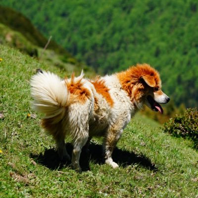 Michel77B's profile picture. gm