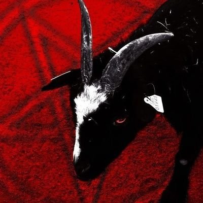 Menlyn157216's profile picture. i love my fandom❤