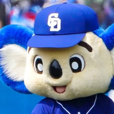 dora24247's profile picture. 高橋宏斗/石伊雄太/福永裕基/鵜飼航丞🐨⚾️年間20-30試合ほど観戦してます☺️🫶
