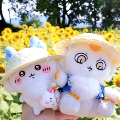 ciel_anoko122's profile picture. ハチワレとあのこ寄りの箱推し(๑˃̵ᴗ˂̵)いいね&無言フォロー失礼します。良かったら仲良くしてください♡YouTube『くうねるちい』ゆるくちい活記録を投稿しています(*´꒳`*)