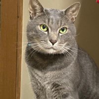 🌼とも🌼 (@love_meno_777) Twitter profile photo