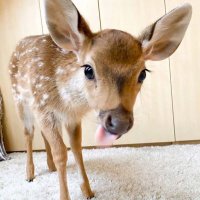 heidi (@h3idi_b1n) 's Twitter Profile Photo heidi (@h3idi_b1n) 's Twitter Profile Photo