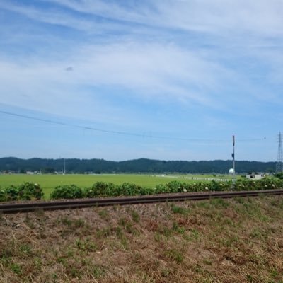 WVab01wu1JVv3ns's profile picture. 宜しくお願いします。