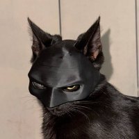 Mazix (@mcmmazix) 's Twitter Profile