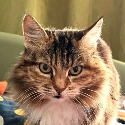 M_OXOBA's profile picture. Копирайтер для психологов. Терапевтируйтесь и спасетесъ 🤌🏻