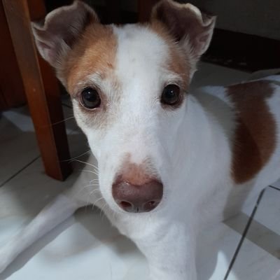 CherinaKhiatani's profile picture. Spunky girl next door
💗💛💙💚💜