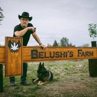 Belushi’s Farm (@jimbelushistor) 's Twitter Profile