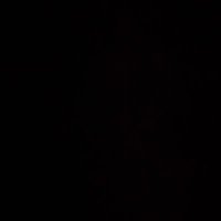 Sebastian (@sebasti87174148) 's Twitter Profile