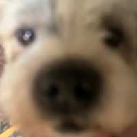 arhea0_0 (@ilovek_a) 's Twitter Profile