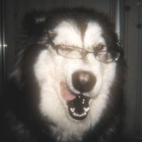 ideaixm_ (@ideaixmm_9) 's Twitter Profile