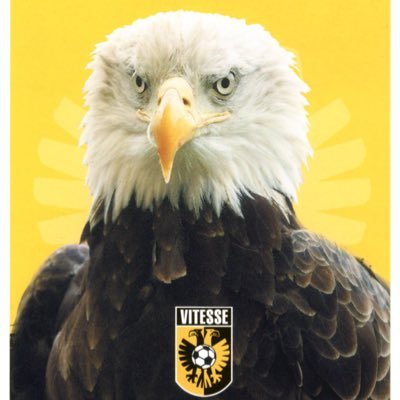 Het is en blijft je club hè…. | Hutspot boerenkool hup Vitesse maak die goal |