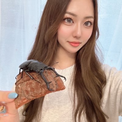 クワガタを中心に繁殖チャレンジ中 💙 🔰初心者🔰細々とやってます🙋♀️ 無言フォロー失礼します🐛 虫関係アカウントは必ずフォロー返します‼️たまに関係ない投稿もします🫢