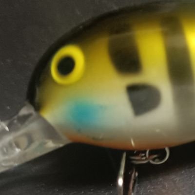 無言フォロー失礼します!
はじめまして!金欠学生アングラーです!🎣
初心者🔰で基本ボーズをくらってます!
よろしくお願いします🙏
やってる釣り
バス釣り/エリアトラウト/ライトゲーム等
↑いずれもまだ釣れてない