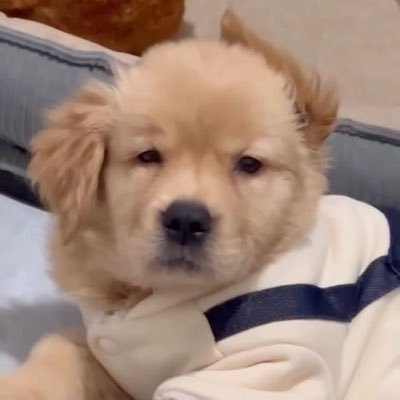 GrimKaiTao's profile picture. 