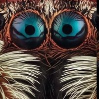 Seyime Gündoğdu (@_seyimegundogdu) 's Twitter Profile Photo Seyime Gündoğdu (@_seyimegundogdu) 's Twitter Profile Photo