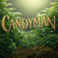 CANDYMANSUPPLIES (@candyman4204) 's Twitter Profile