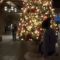 おさかなあ (@osaaaaa0_0) 's Twitter Profile