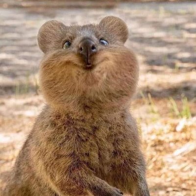 Blondiepj's profile picture. 