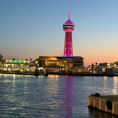 rxHdmbgfYa25563's profile picture. ウェブフリ(フリキャン)/映像制作・映像編集