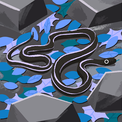 Zefhhf's profile picture. 