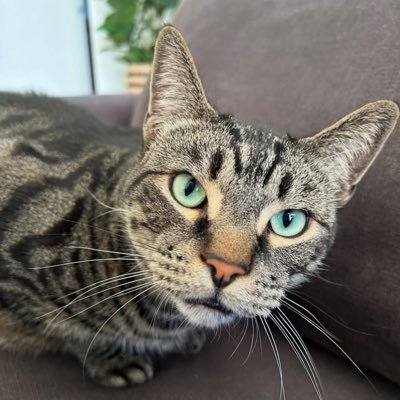 magedawag's profile picture. 私は慈善家で、困っている人を助けるのが好きです。