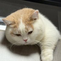 TuTrinh (@tutrinh220997) 's Twitter Profile