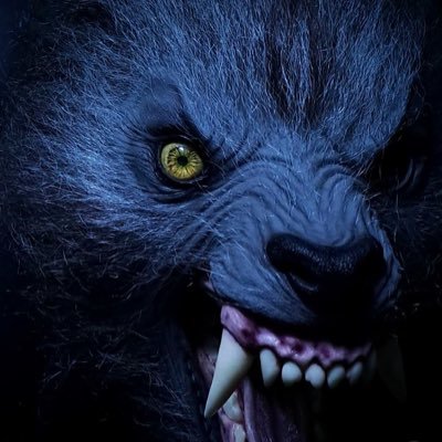 JeyBsrt's profile picture. 