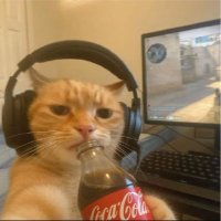blessed syn (@synxblessed) 's Twitter Profile