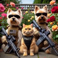 Sparkle Paws (@sparklepawsesq) 's Twitter Profile Photo Sparkle Paws (@sparklepawsesq) 's Twitter Profile Photo