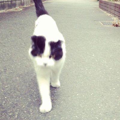 hokuhoku_pu's profile picture. 松村北斗が好き。2024年突然俳優松村北斗の沼へ...ついに松村のオタクを認め専用垢を...!!!! 他の事務所肯定派です、お手柔らかに。学生の頃から今も邦ロックバンド&現場好き。オーディション番組が好きでBMSGのオーデや日プ、韓国オーデも好きな雑食。