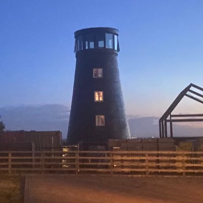 drarooran's profile picture. Random human