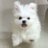 michan_bakugai's profile image