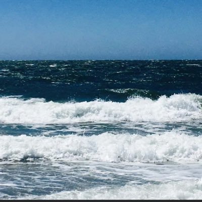 shaktiforever1's profile picture. No DMs.