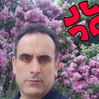 aghl86's profile picture. @inspectxyz
