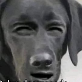 giligiliwily's profile picture. 