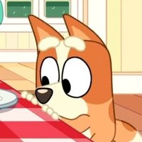 Daily Bingo (@daily_binggo) 's Twitter Profile