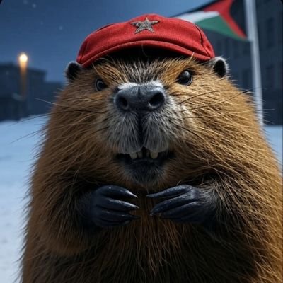 pasdenom012345's profile picture. 