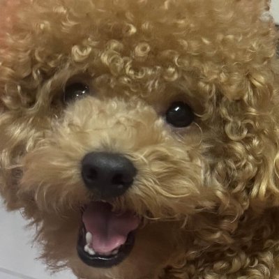 willy_tran_jr's profile picture. 