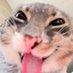 Voltz. (@voltzssssvl) Twitter profile photo Voltz. (@voltzssssvl) Twitter profile photo