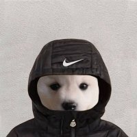 WIN (@dogwincoin) 's Twitter Profile Photo WIN (@dogwincoin) 's Twitter Profile Photo