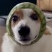🥭 (@wonryoo) Twitter profile photo 🥭 (@wonryoo) Twitter profile photo