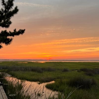 PCoszy's profile picture. hellljooo